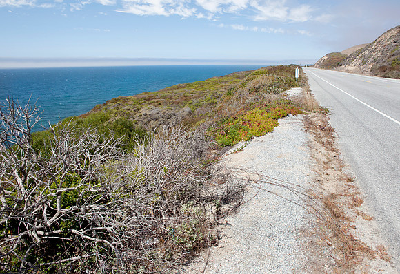 Highway 1 Near Big Sur