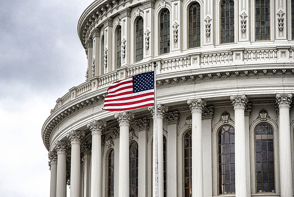 US Capitol Building Capitol Flag