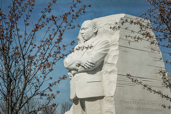 Martin Luther King and Cherry Blossoms
