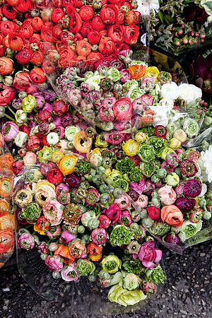 Ranunculas at Market