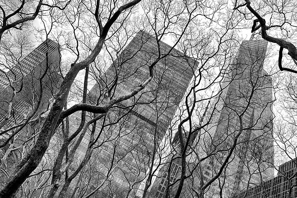 New York City Architecture 03