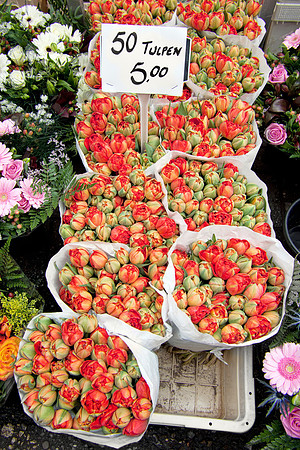 Tulips at Market