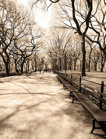 Central Park in Sepia