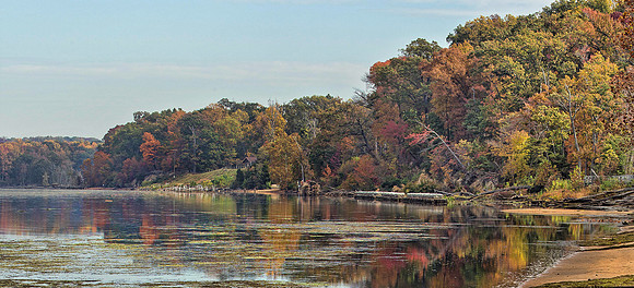 Autumn on Mason Neck
