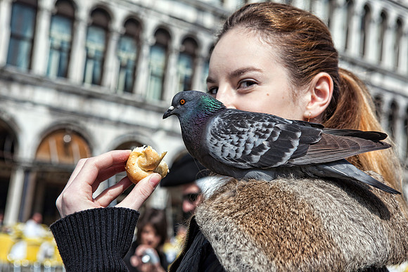 Piazza San Marco