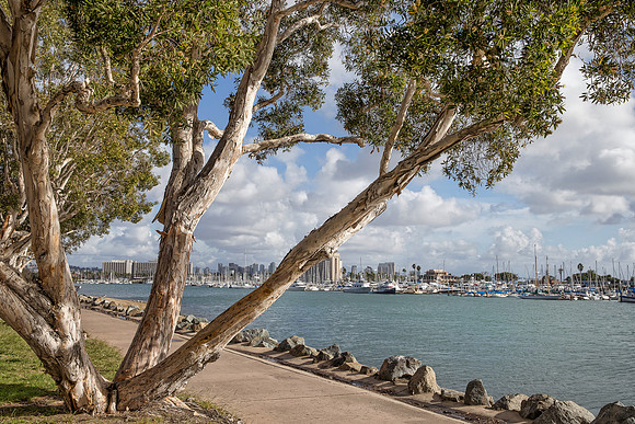 San Diego Harbor at the Golden Hour