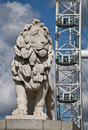 Lion Near The Eye