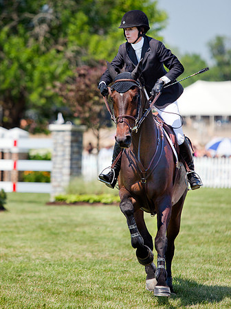 Rider and Thoroughbred Horse at Jump Event