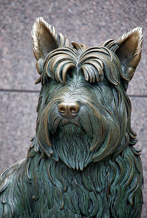 Theodore Roosevelt's Dog, Fala