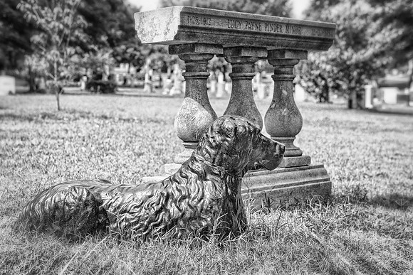 Loyal Dog Sculpture on Grave