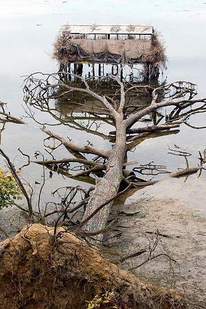 Duck Blind