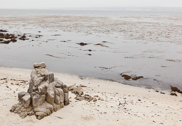 Carmel Beach