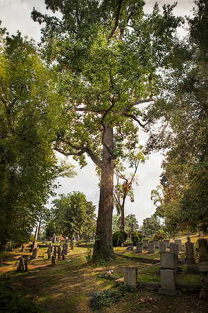 Dusk in Hollywood Cemetery