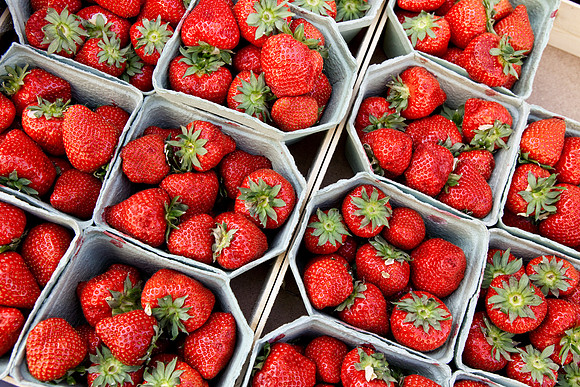 Food Market