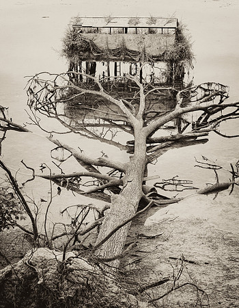 Duck Blind - Sepia