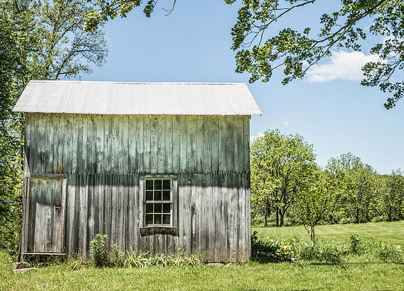 Shed