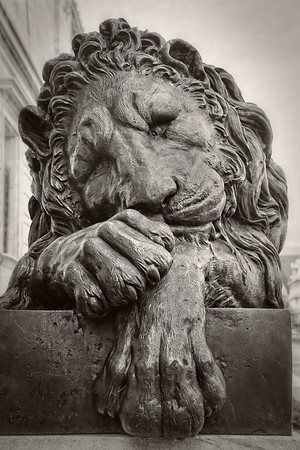 Corcoran Museum Lion Detail