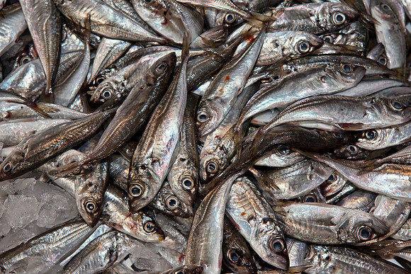 Sardines at Market