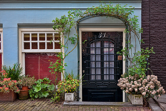 Residential Front Door