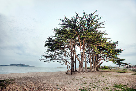 San Francisco Near Presidio