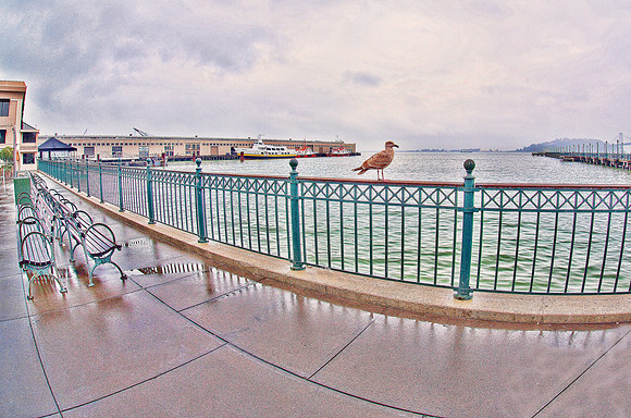 Fishermans Wharf in San Francisco