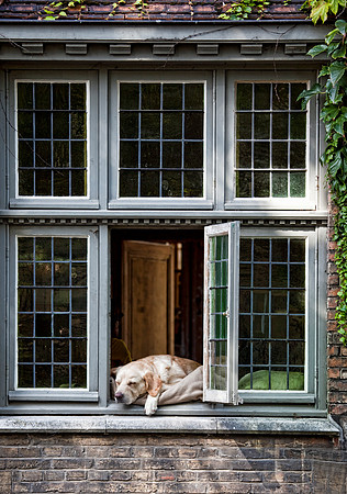 Power Nap in Bruges Belgium