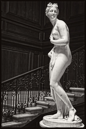 Corcoran Museum Sculpture in Washington, DC