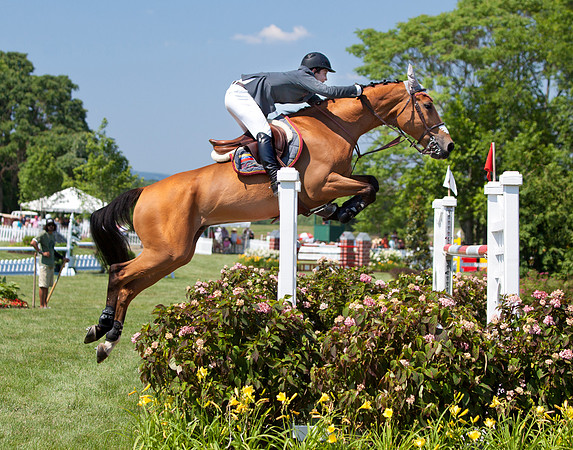 Thoroughbred at Upperville VA Jump Classic