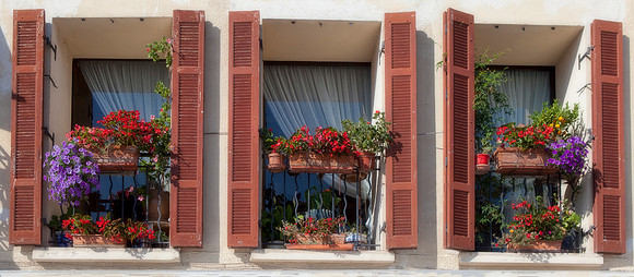 Windows of Provence