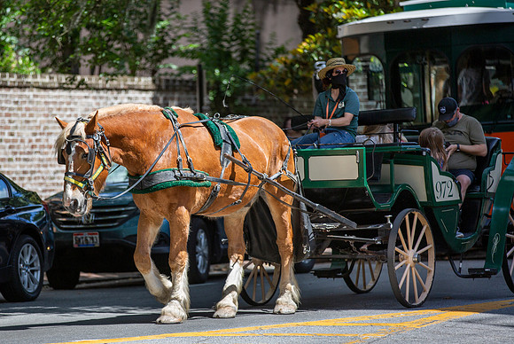 Carriage 2