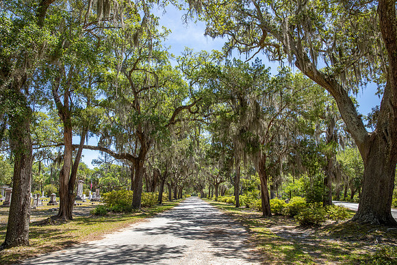 Bonaventure Cemetery Road