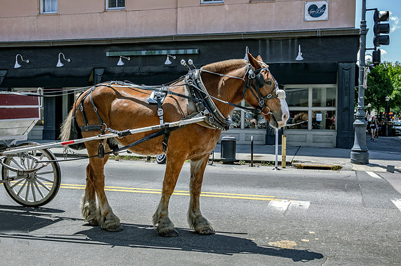 Carriage 4