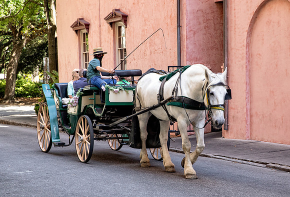 Carriage 7