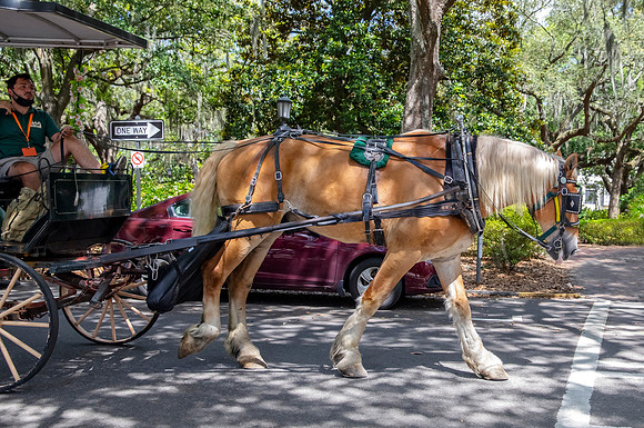 Carriage 6