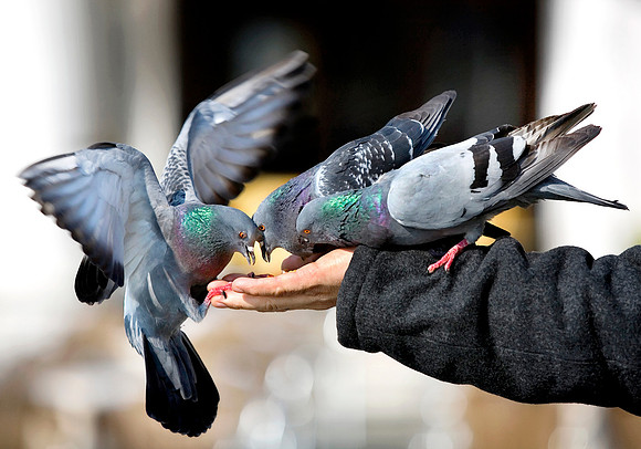 Table for Three