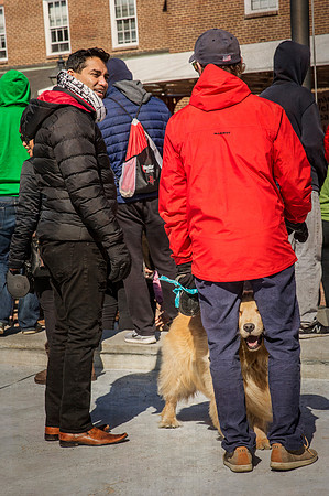 Alexandria Virginia Dog Show