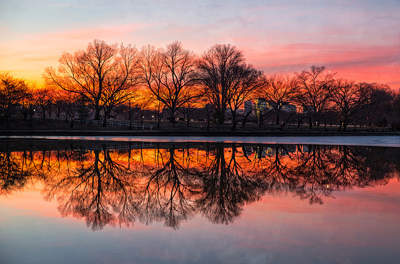 Tidal Basin Sunset