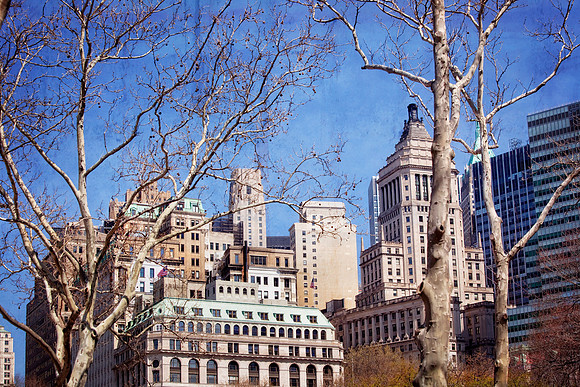 Battery Park Architecture