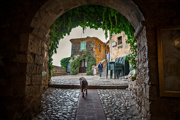 Village of Eze Stray Dog