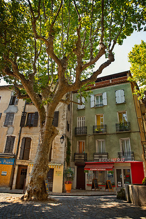 Village of Bergamon Main Street