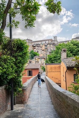 Perugia Girl with Dog