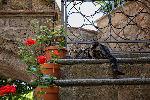 Civita di Bagnoregio 29