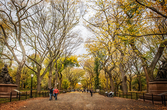 Leisure Time in Central Park
