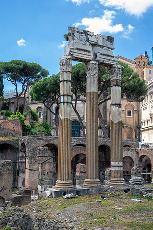 Roman Forum Section