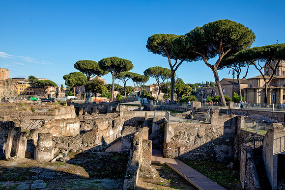 Forum Golden Hour 5