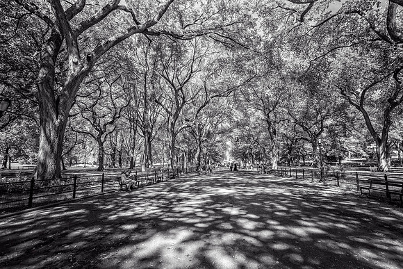 Central Park Literary Walk