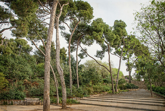 Park Guell Tranquility